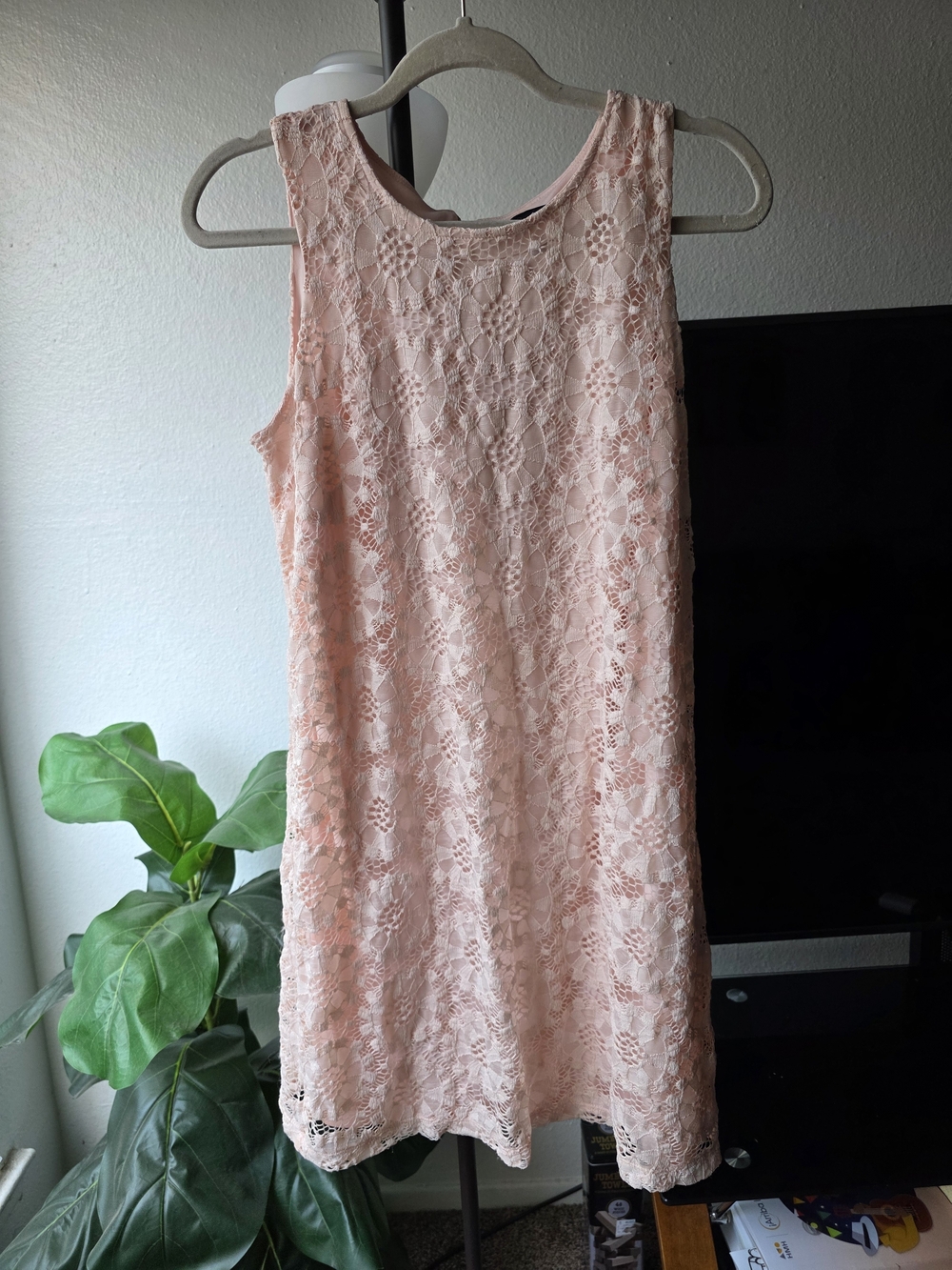 Ronni Nicole Sleeveless Blush Lace Shift Dress